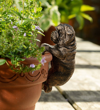 English Bulldog Plant Pot Hanger
