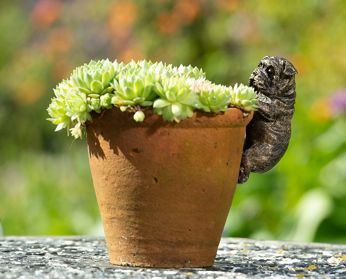 British Bulldog Potty Feet & Pot Buddy