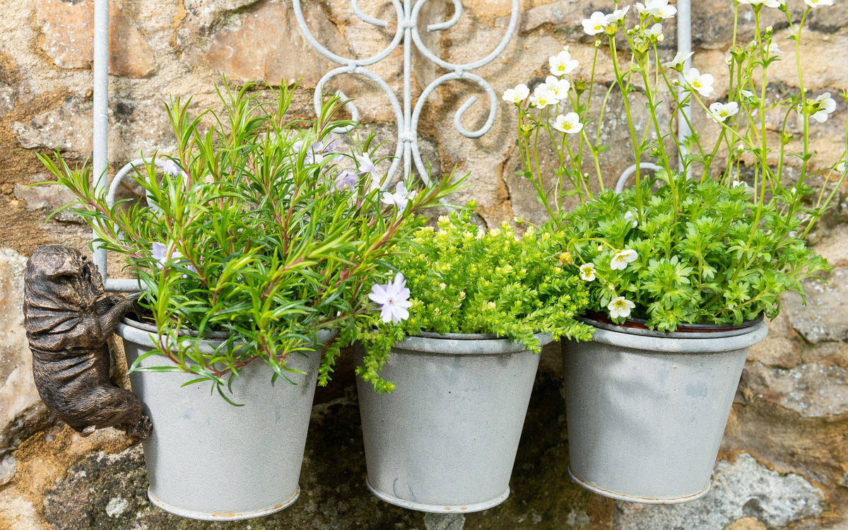 English Bulldog Plant Pot Hanger