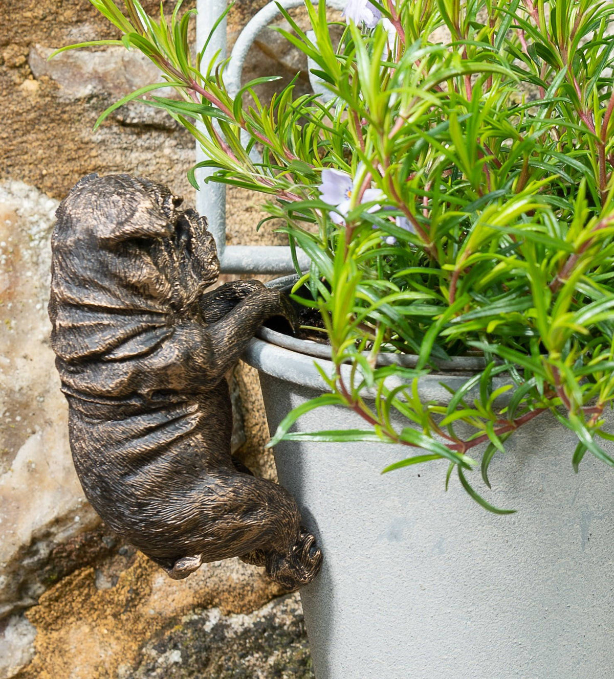 English Bulldog Plant Pot Hanger