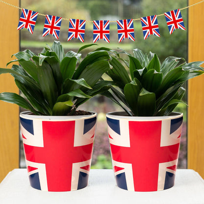 Eco-Pot Bamboo Flags Union Jack, Flag of the United Kingdom - Set of 3