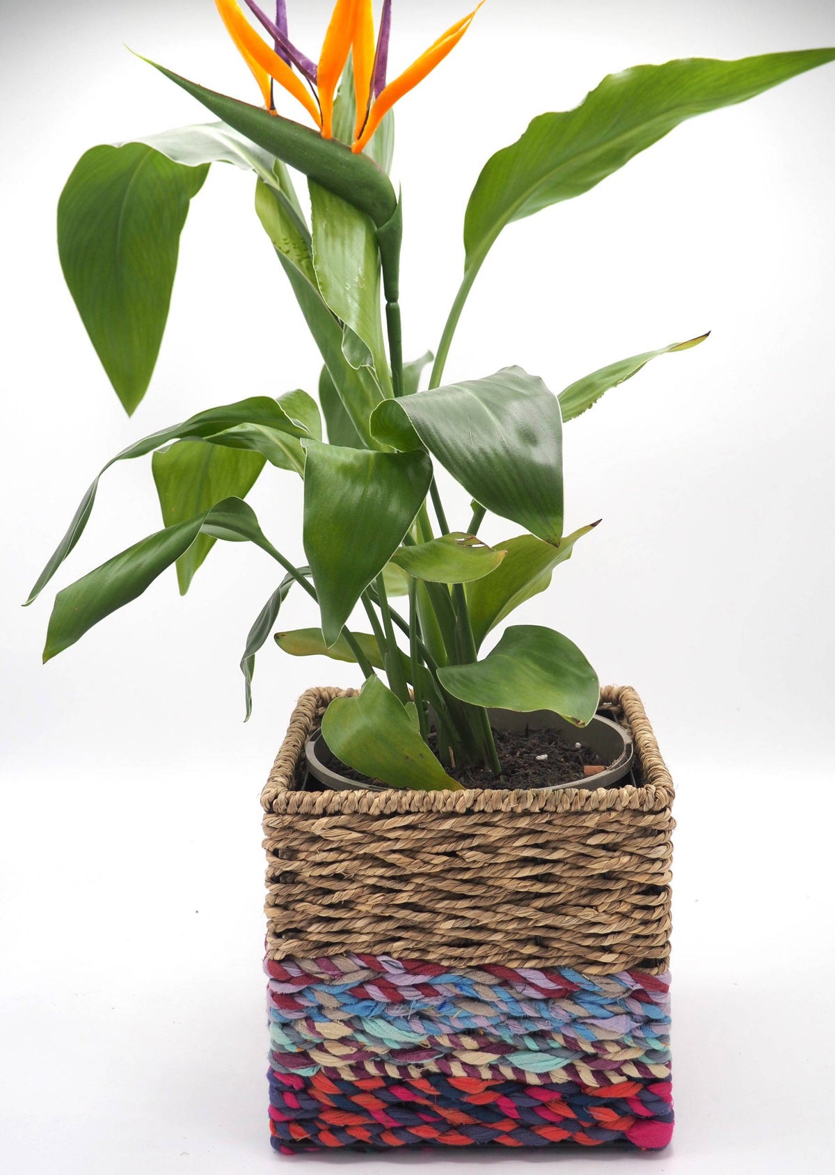 Munja And Reclaimed Sari Fabric Planter – Small