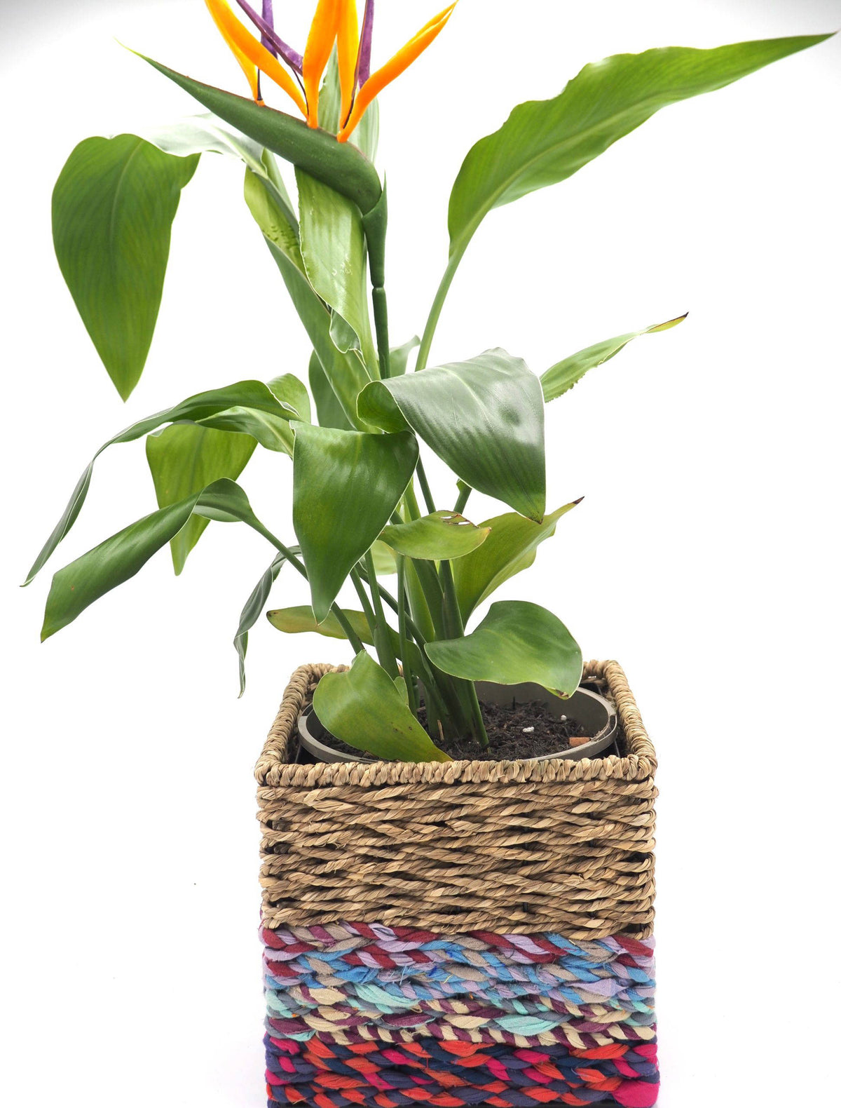 Munja And Reclaimed Sari Fabric Planter – Medium