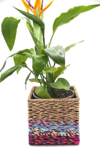 Munja And Reclaimed Sari Fabric Planter - Large