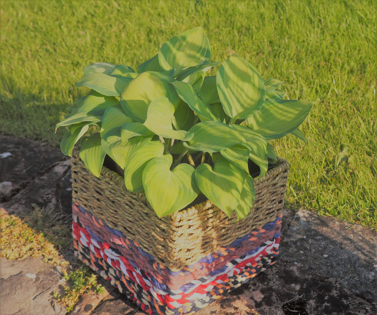 Munja And Reclaimed Sari Fabric Planter - Large