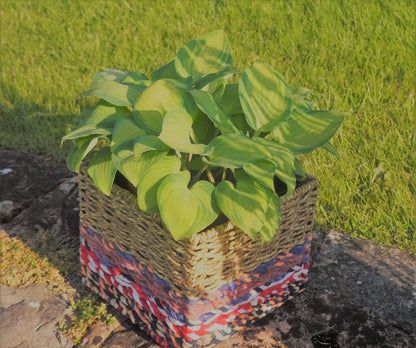 Munja And Reclaimed Sari Fabric Planter - Large