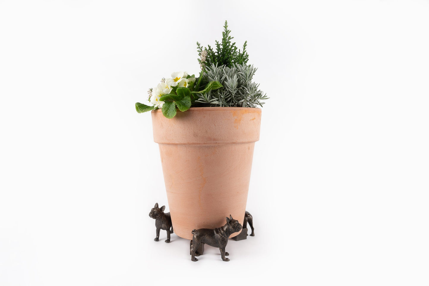 French Bulldog Potty Feet and Pot Buddy