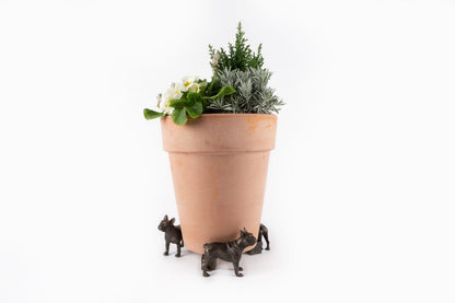 French Bulldog Potty Feet and Pot Buddy