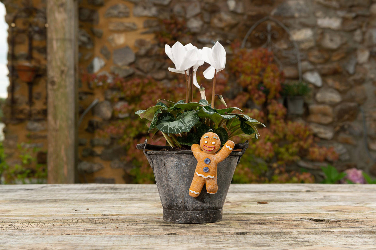 Christmas Set of 5 Pot Buddies