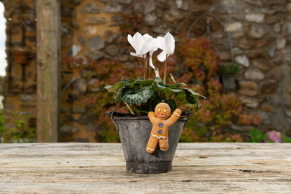 Christmas Set of 5 Pot Buddies