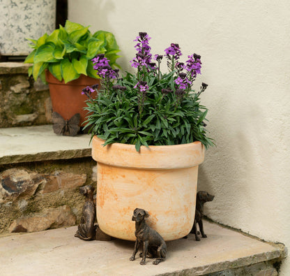 Great Dane Plant Pot Feet - Set of 3
