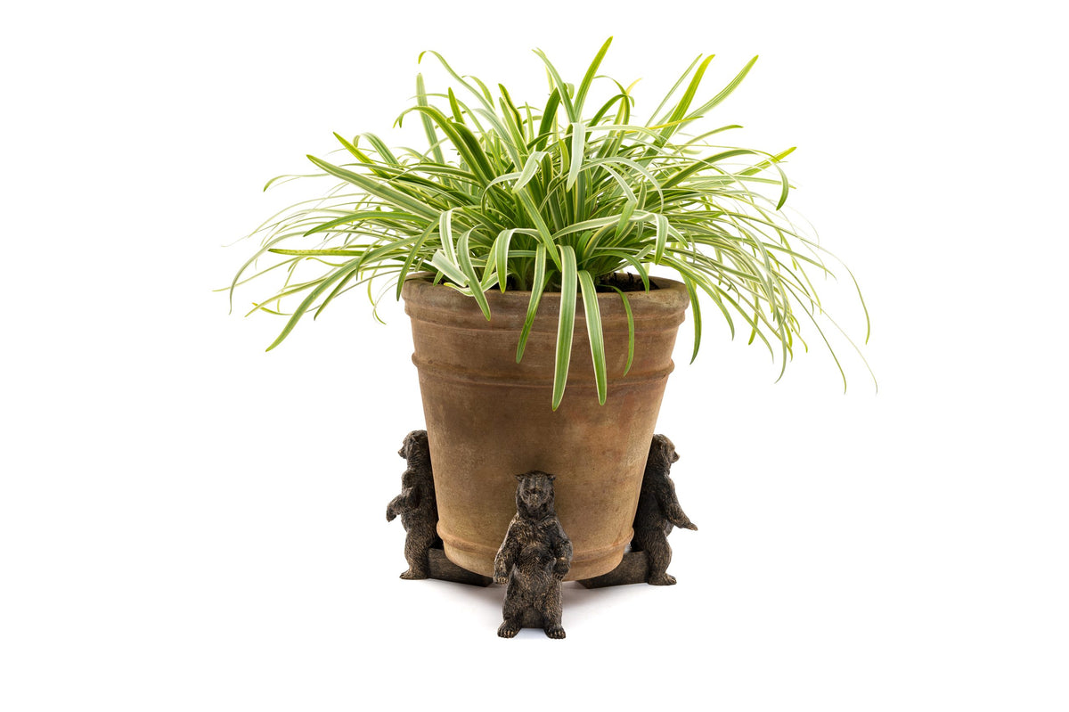 Bear Potty Feet and Pot Buddy Bundle Set