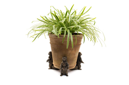 Bear Potty Feet and Pot Buddy Bundle Set