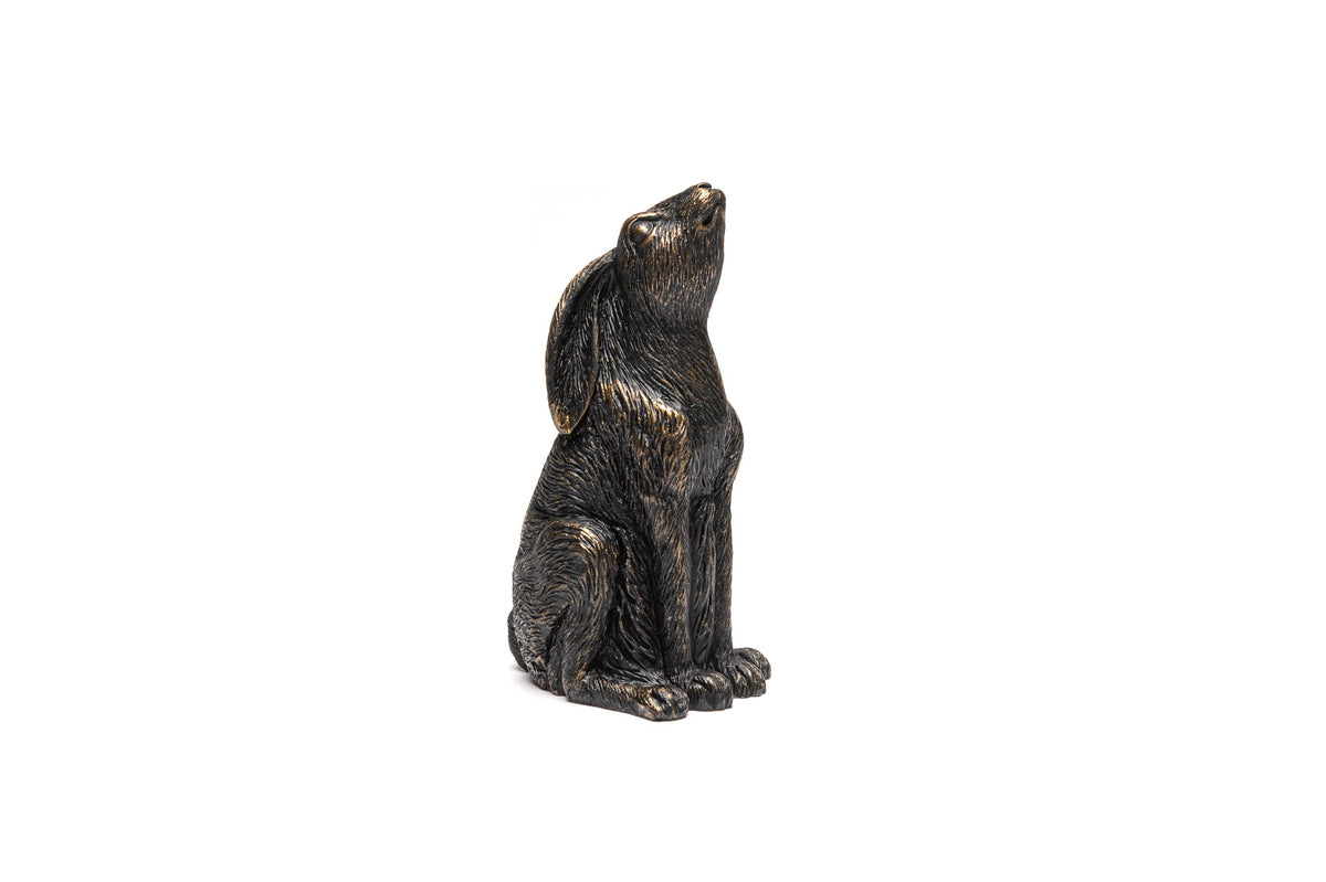 Moon Gazing Hare Potty Feet and Cane Companion Bundle Set
