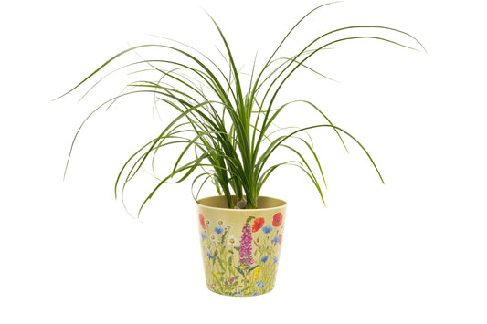 Bamboo Eco-Pot Iona Buchanan Meadow - Set of 3 - 3 colours