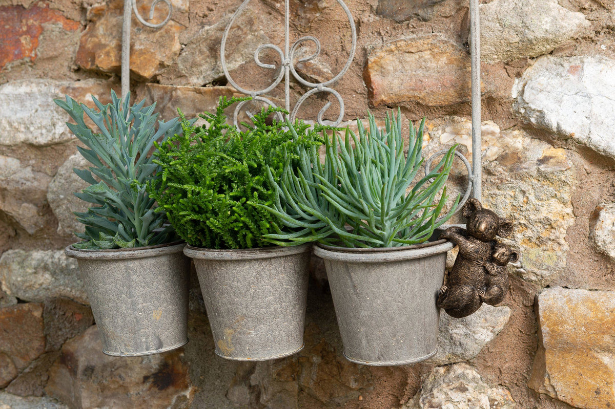 Koala Potty Feet and Pot Buddy