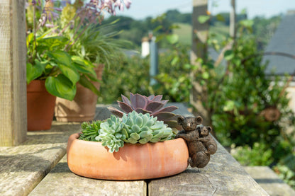 Koala Potty Feet and Pot Buddy