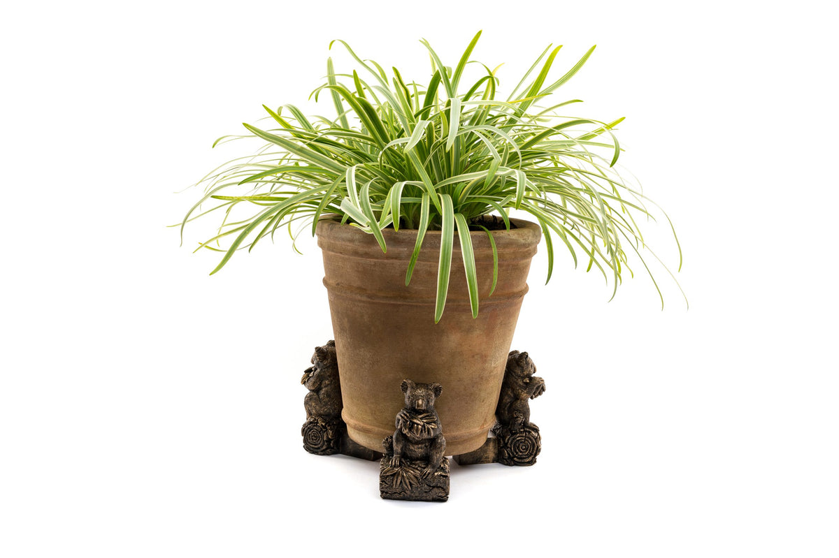 Koala Potty Feet and Pot Buddy