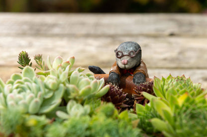 Wind In The Willows Range of 5 Pot Buddies