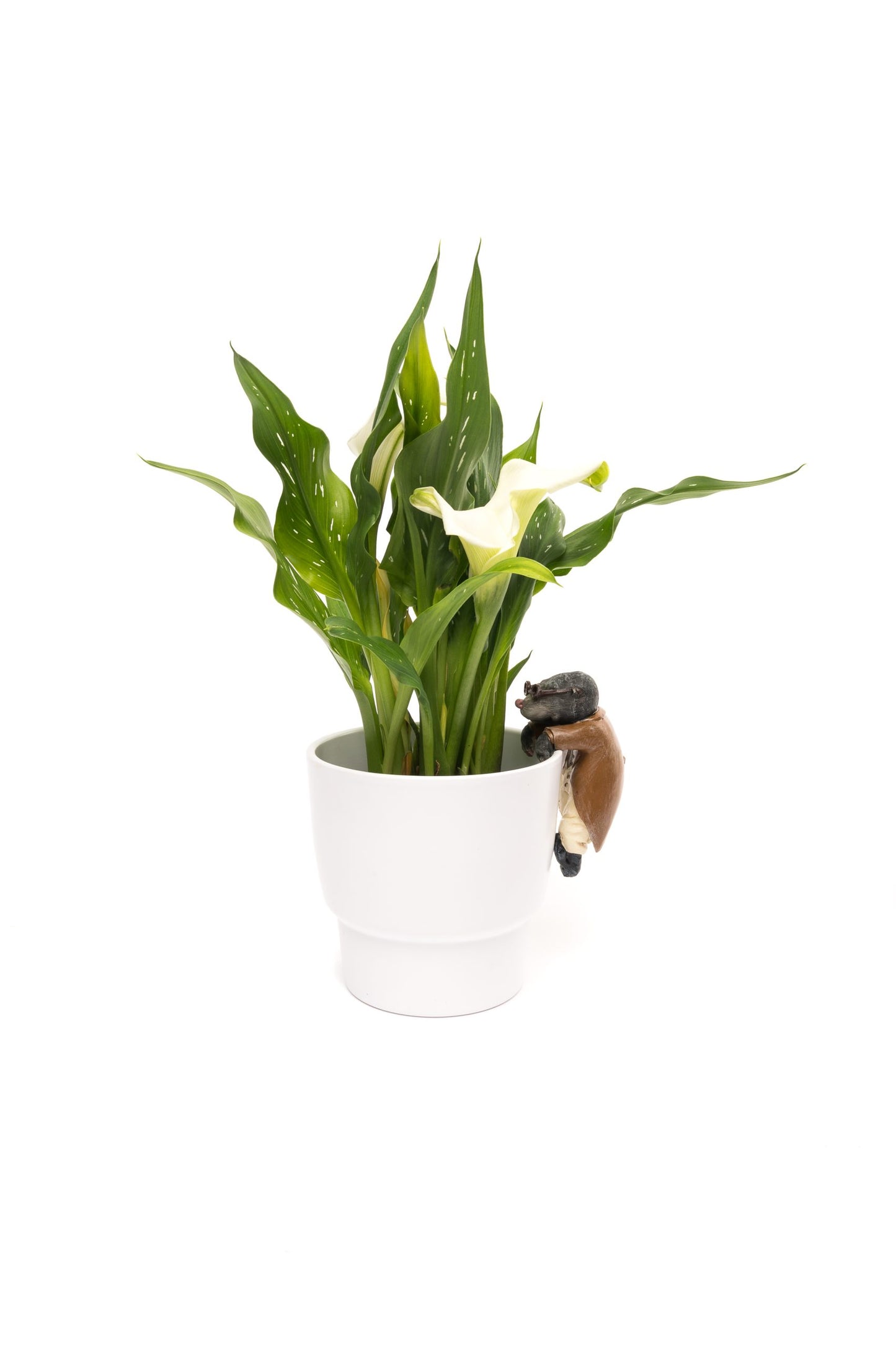 Wind In The Willows Range of 5 Pot Buddies