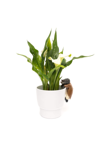 Wind In The Willows Range of 5 Pot Buddies