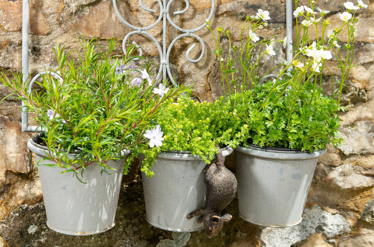 Mouse Potty Feet, Pot Buddy