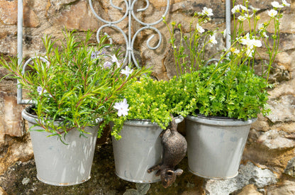 Mouse Potty Feet, Pot Buddy