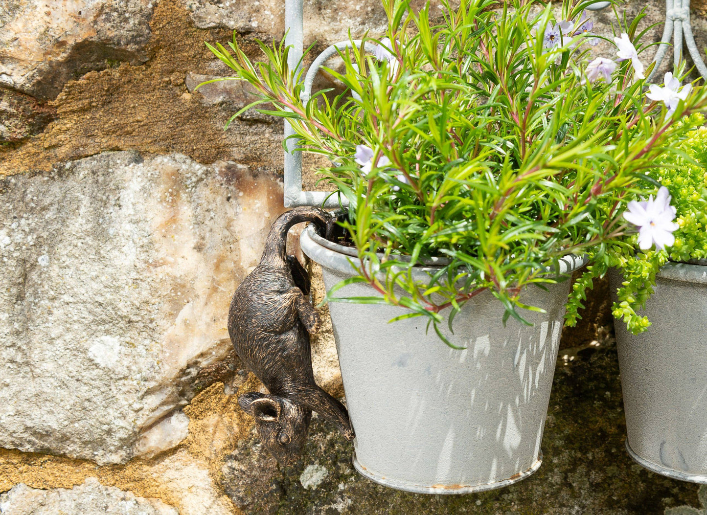 Mouse Potty Feet, Pot Buddy