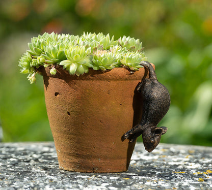 Mouse Potty Feet, Pot Buddy