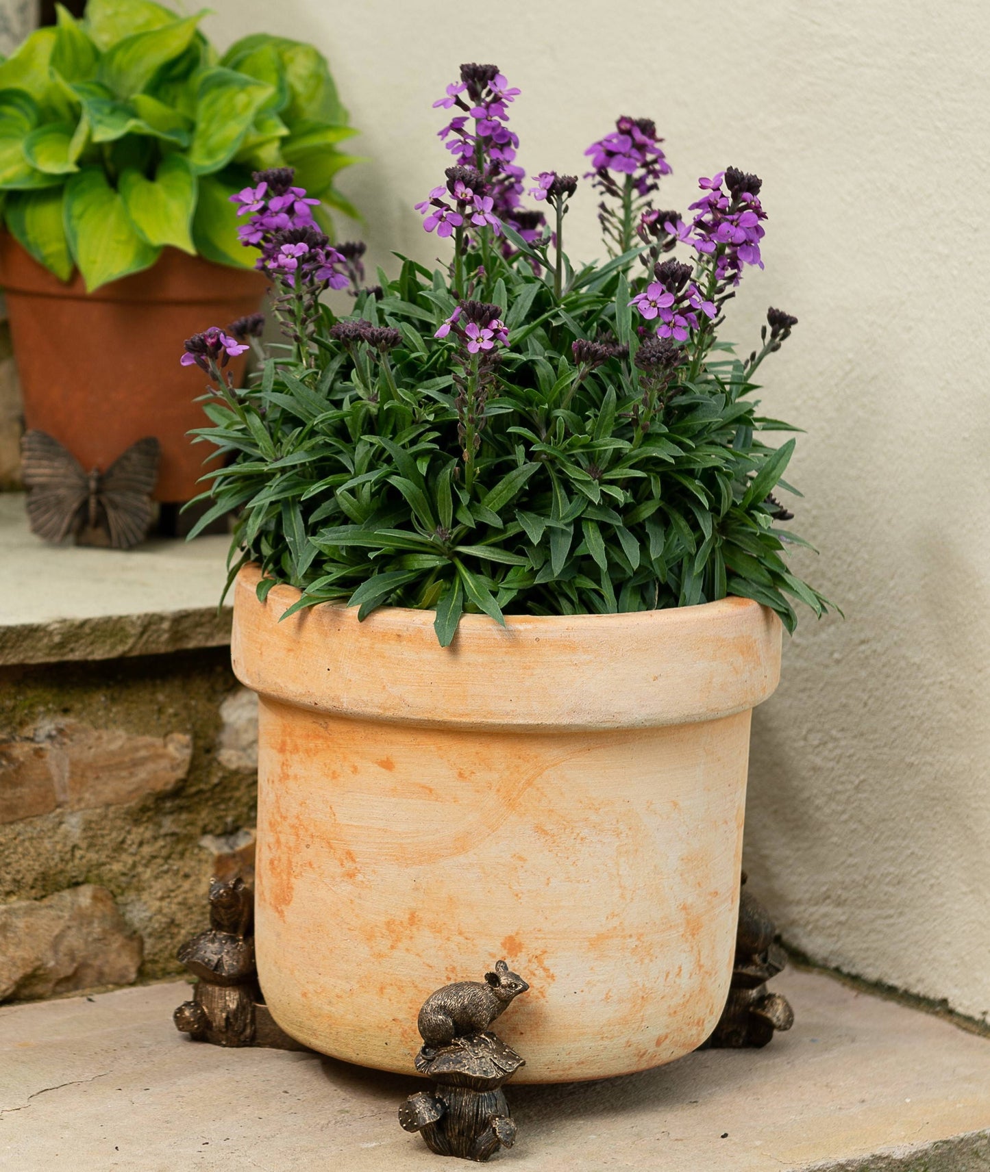 Mouse Potty Feet, Pot Buddy