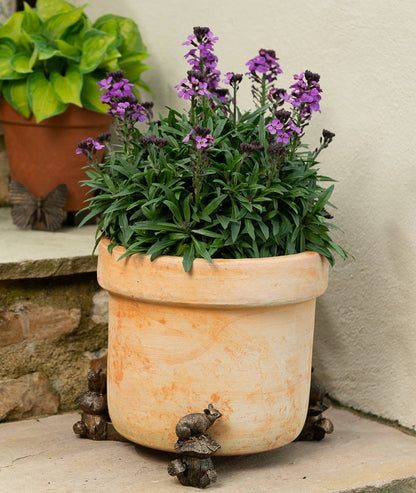 Mouse Potty Feet, Pot Buddy