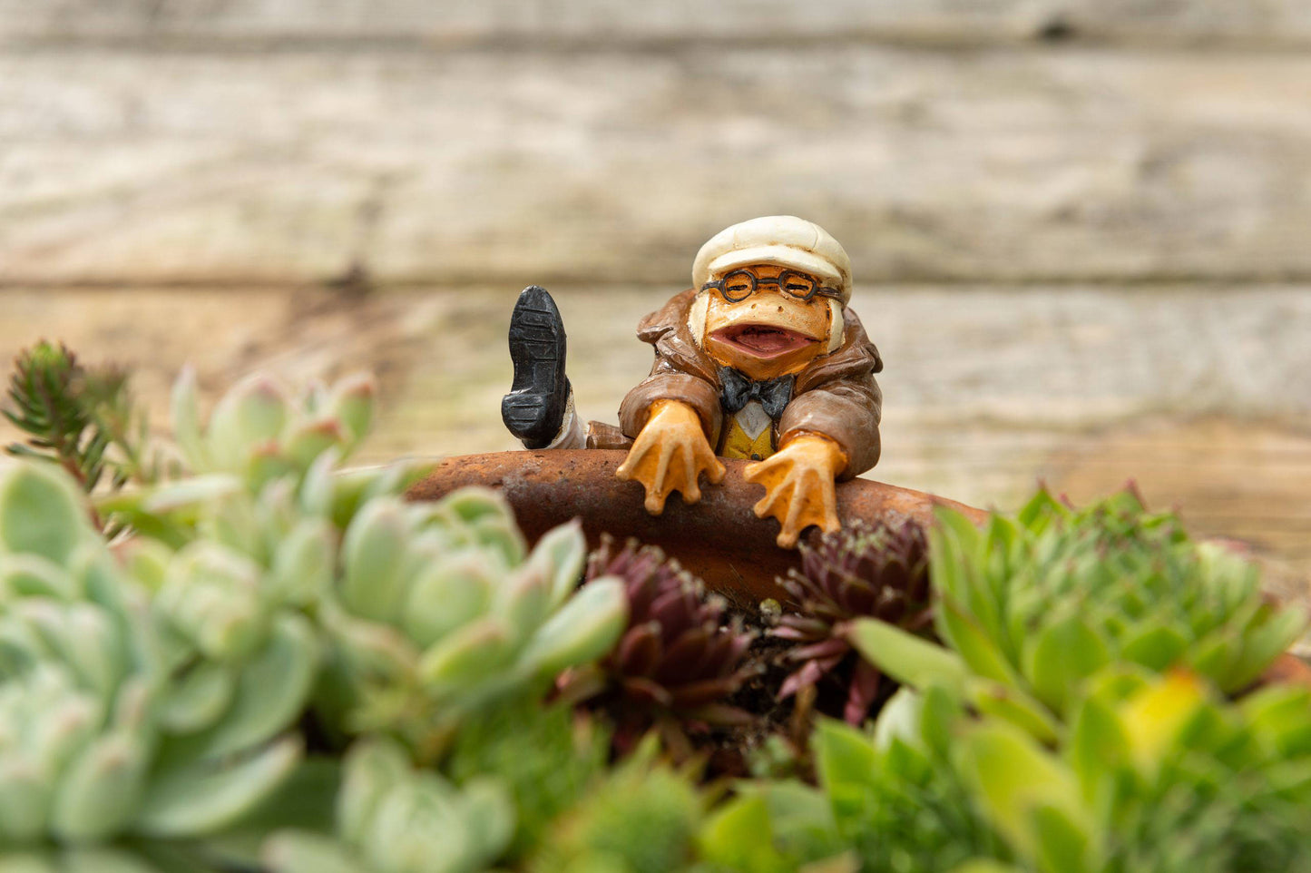 Wind In The Willows Range of 5 Pot Buddies