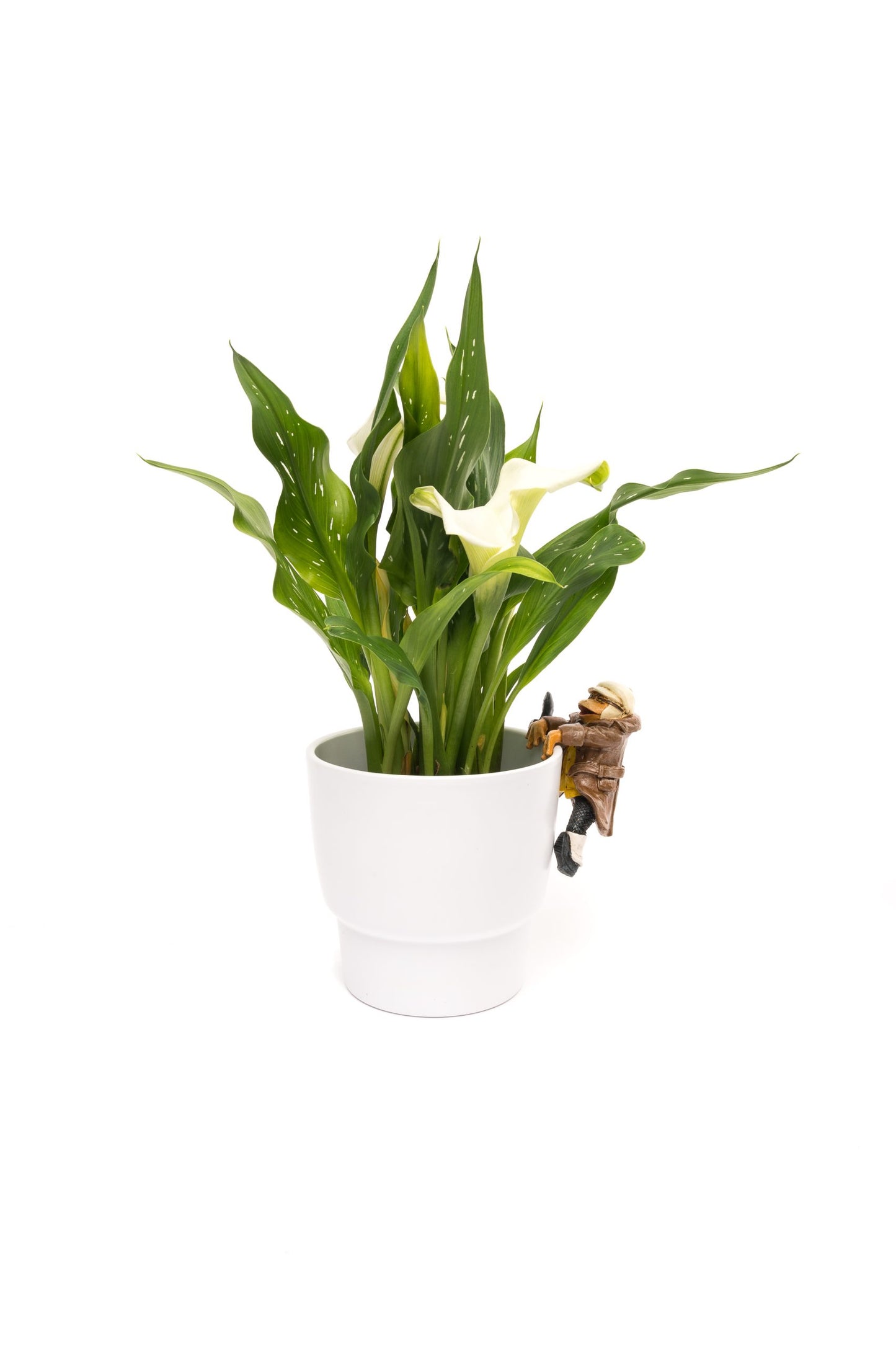 Wind In The Willows Range of 5 Pot Buddies