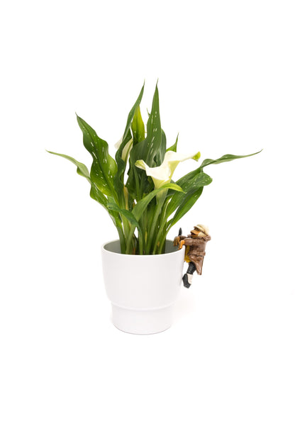 Wind In The Willows Range of 5 Pot Buddies