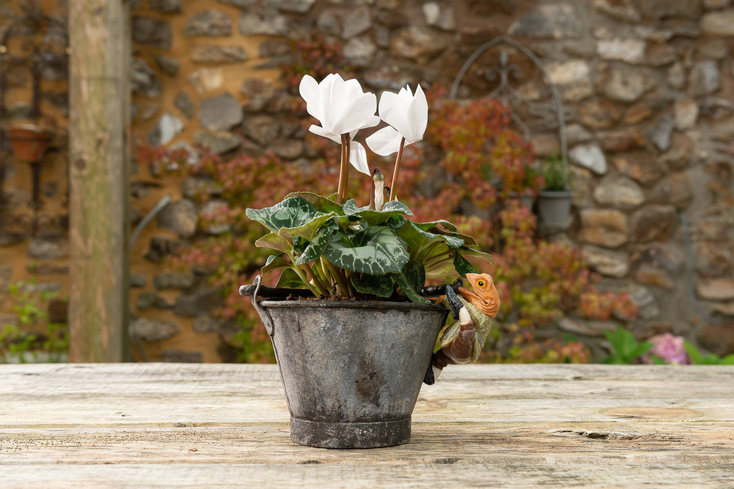 Wind In The Willows Range of 5 Pot Buddies