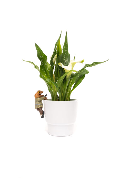 Wind In The Willows Range of 5 Pot Buddies