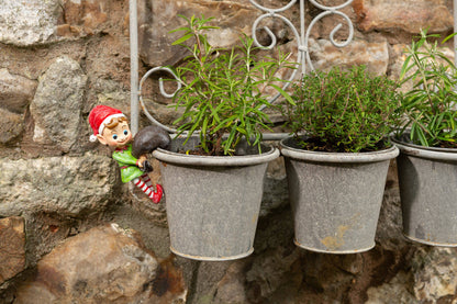 Christmas Set of 5 Pot Buddies