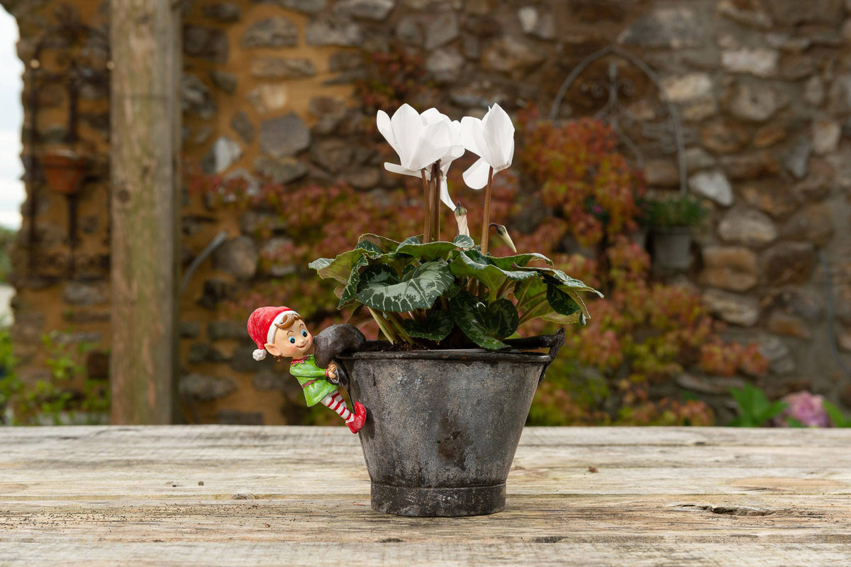 Christmas Set of 5 Pot Buddies