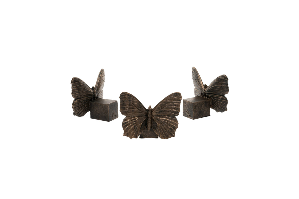 Butterfly Potty Feet and Cane Companion Bundle Set