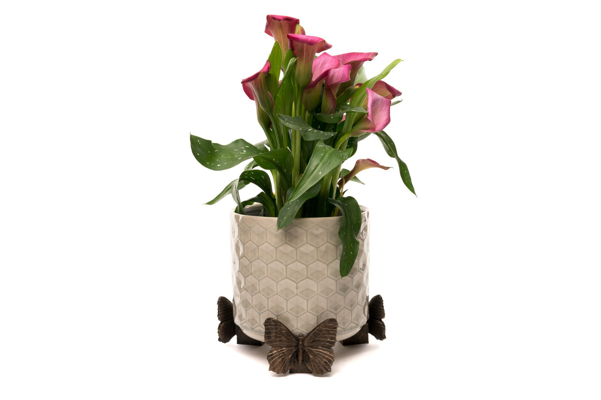 Butterfly Potty Feet and Cane Companion Bundle Set