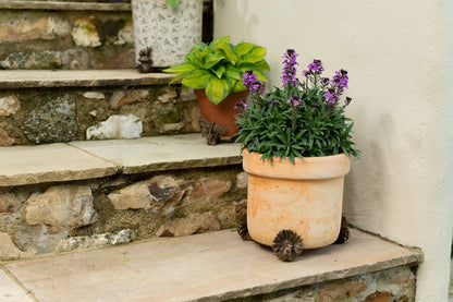 Bee Potty Feet and Cane Companion Bundle Set
