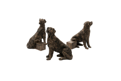 Retriever Plant Pot Feet - Set of 3