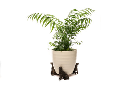 Retriever Plant Pot Feet - Set of 3