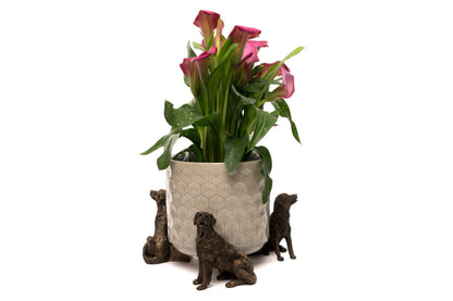 Retriever Plant Pot Feet - Set of 3