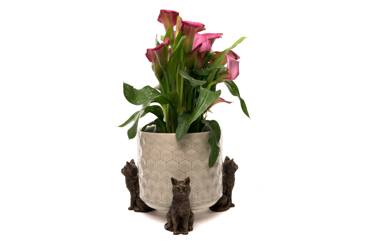 Cat Potty Feet and Pot Buddy Bundle Set