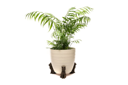 Cat Potty Feet and Pot Buddy Bundle Set