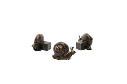 Snail Potty Feet and Pot Buddy and Cane Companion Bundle Set