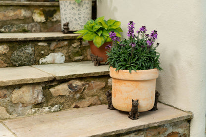 Cat Potty Feet and Pot Buddy Bundle Set