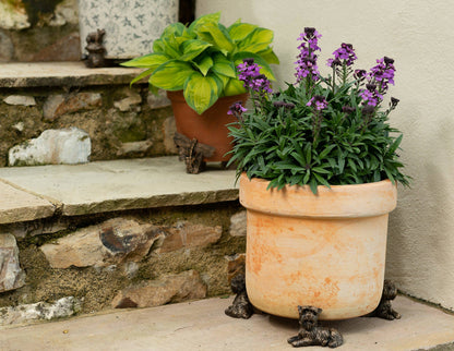 Yorkshire Terrier Plant Pot Feet - Set of 3