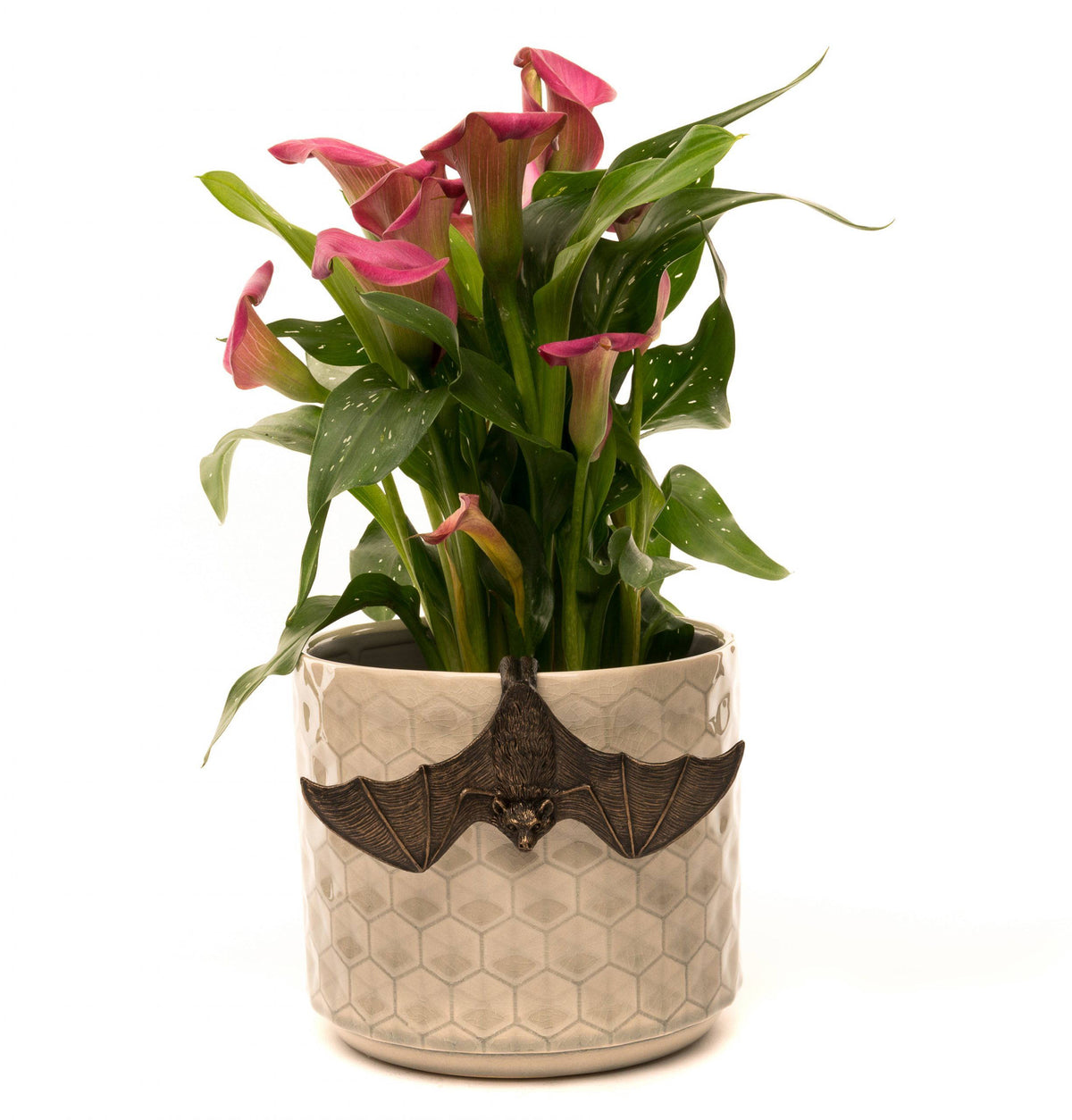 Antique Bronze Coloured Bat Pot Buddy Pot Hanger